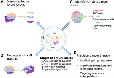 Application of Single-Cell Multi-Omics in Dissecting Cancer Cell Plasticity and Tumor Heterogeneity